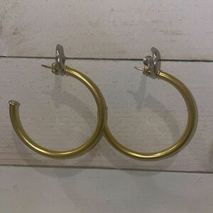 Sheila Fajl Everybody's Favorite Hoops